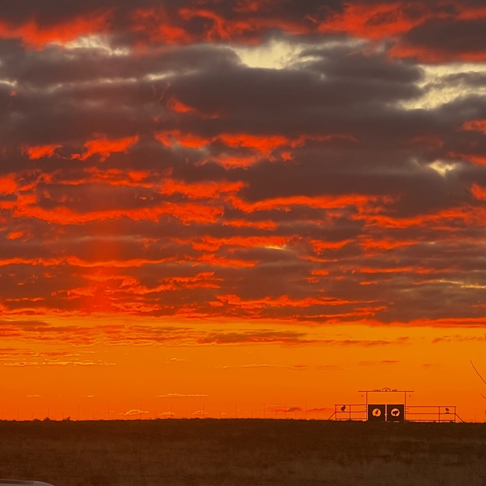 Meet your Posher, B-Dub